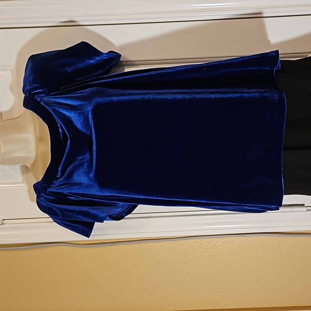 Frank Lyman Blue Velvet Top- Size 8